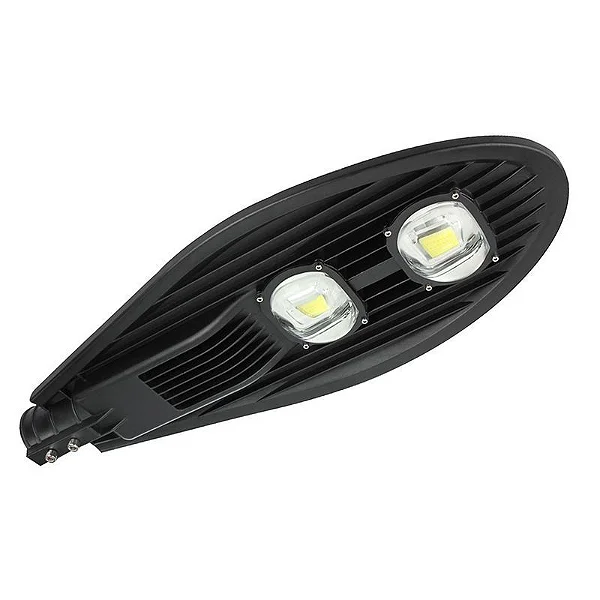 Cob 100w